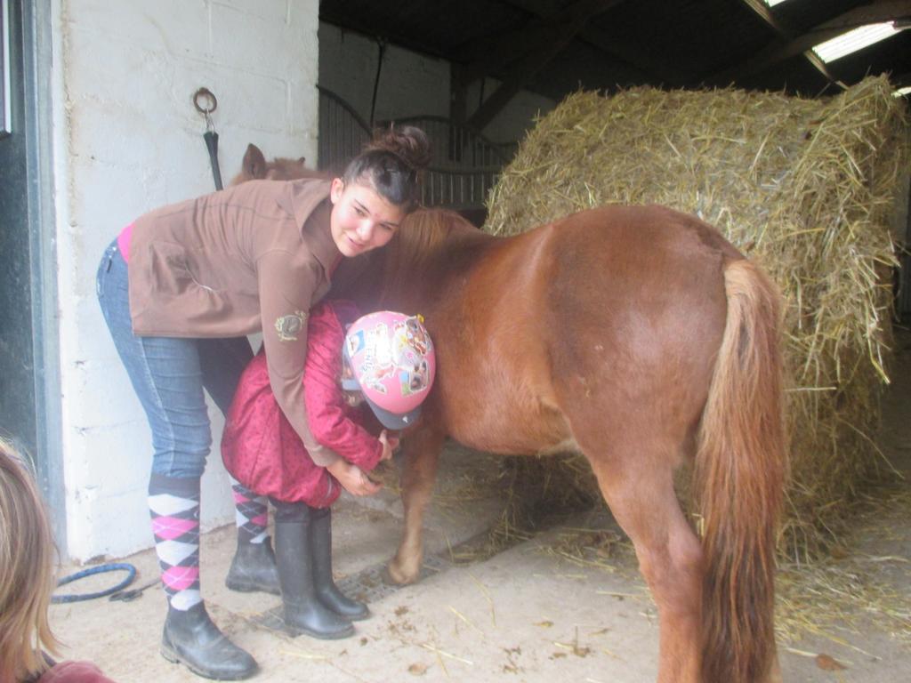 Gite Et Relais Equestre De Marie Tours-en-Vimeu Exterior foto