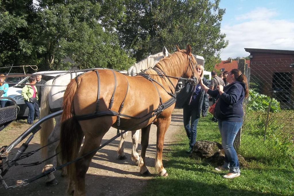 Gite Et Relais Equestre De Marie Tours-en-Vimeu Zimmer foto