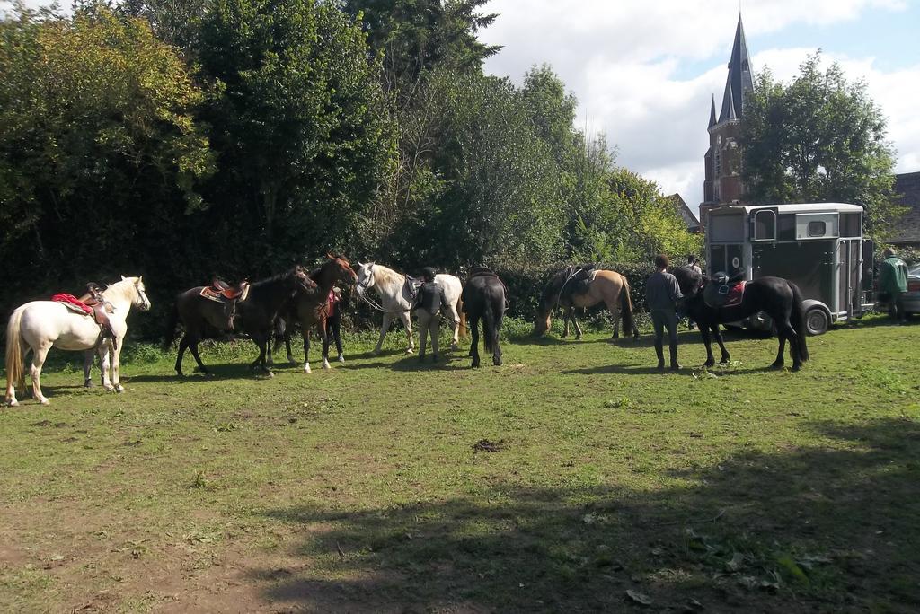 Gite Et Relais Equestre De Marie Tours-en-Vimeu Exterior foto