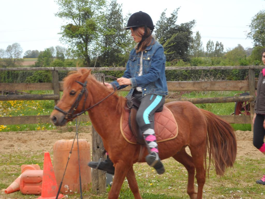 Gite Et Relais Equestre De Marie Tours-en-Vimeu Zimmer foto