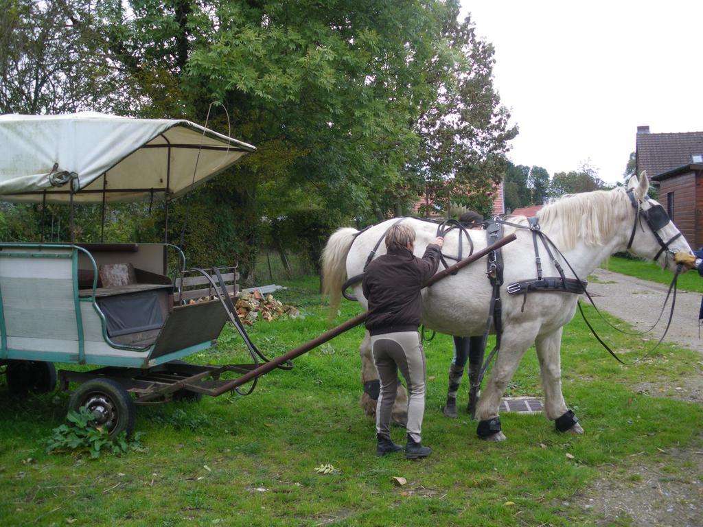 Gite Et Relais Equestre De Marie Tours-en-Vimeu Zimmer foto