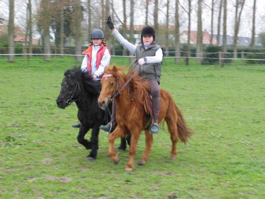Gite Et Relais Equestre De Marie Tours-en-Vimeu Zimmer foto