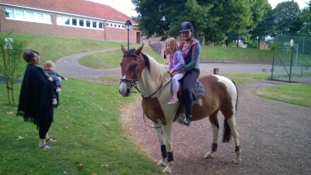Gite Et Relais Equestre De Marie Tours-en-Vimeu Exterior foto